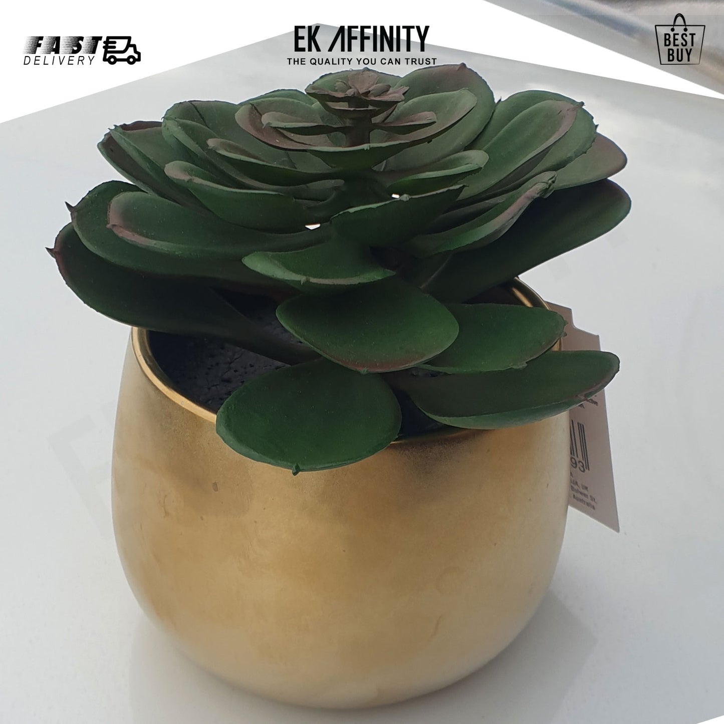 Beautiful Succulent In Gold Pot H13cm x 10cm Home and Kitchen
