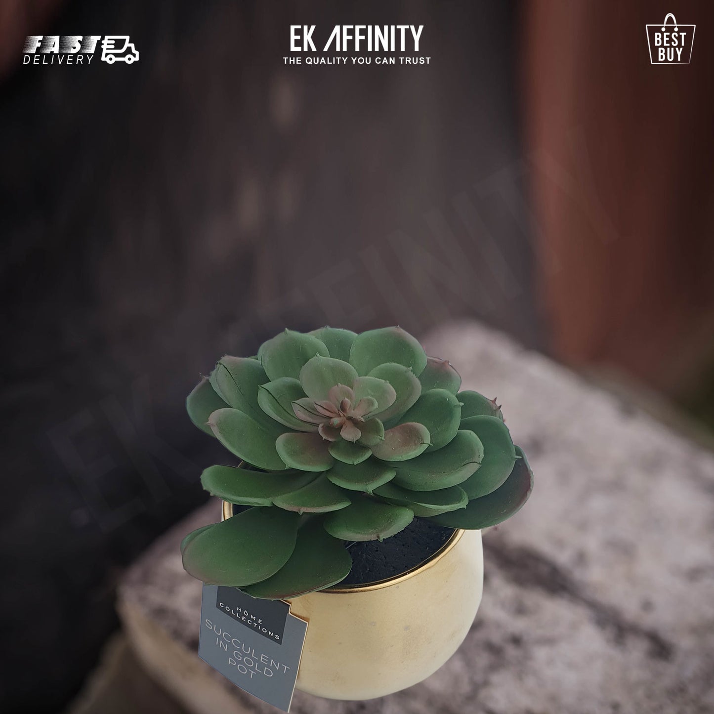 Beautiful Succulent In Gold Pot H13cm x 10cm Home and Kitchen