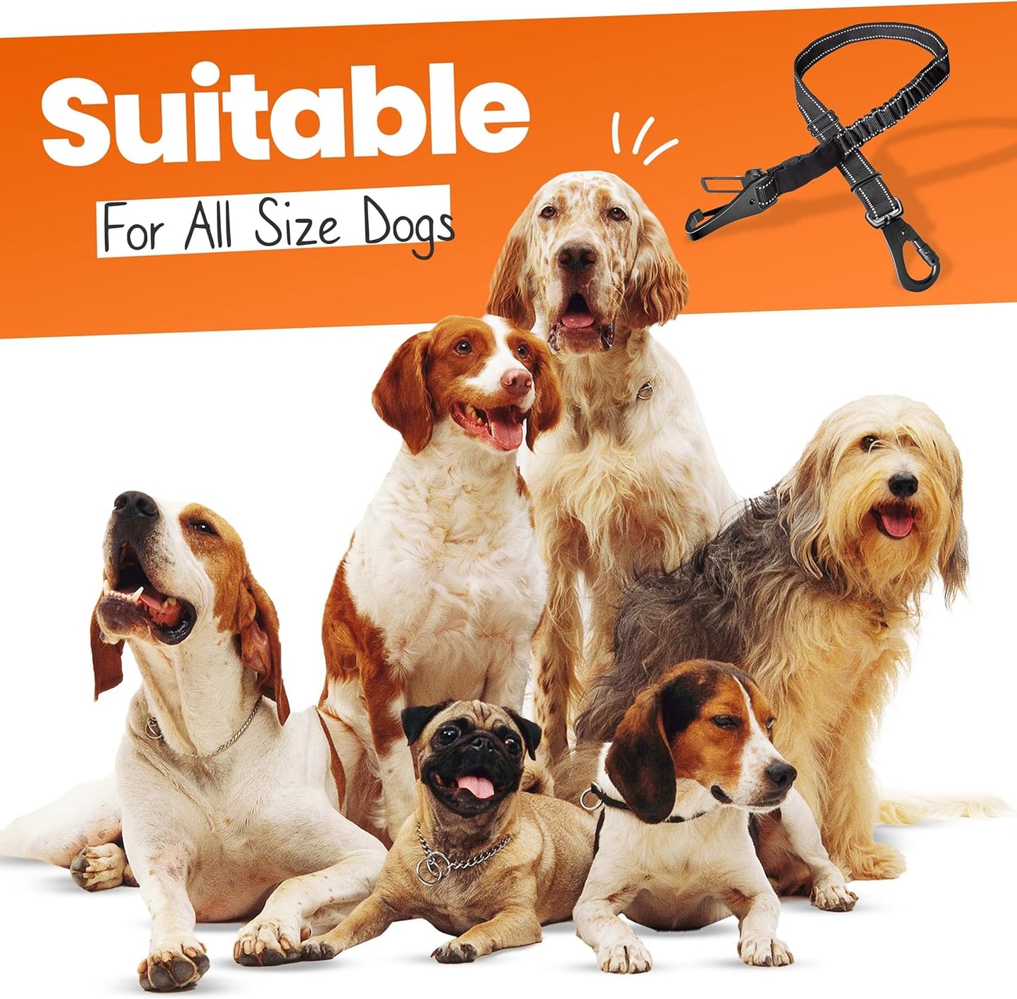 Dog Seatbelts for Cars, Adjustable with Anti Shock Bungee Buffer,  Heavy Duty Carabiner Clip, Dog Seatbelt Isofix