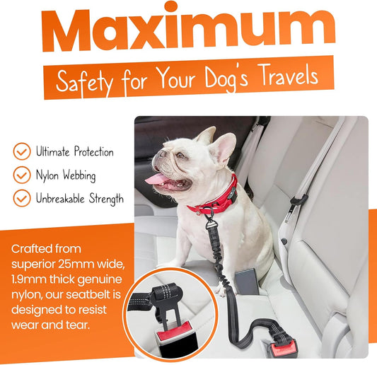 Dog Seatbelts for Cars, Adjustable with Anti Shock Bungee Buffer,  Heavy Duty Carabiner Clip, Dog Seatbelt Isofix